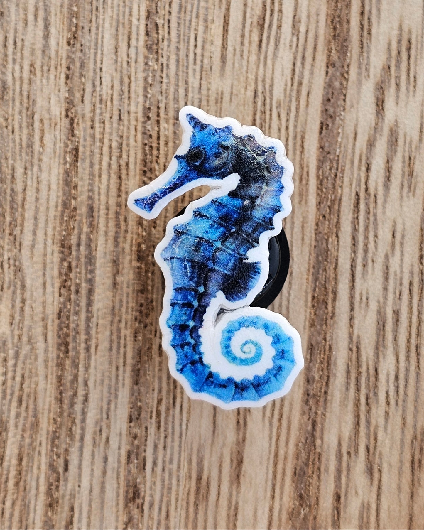 Blue Seahorse Crocs Charm