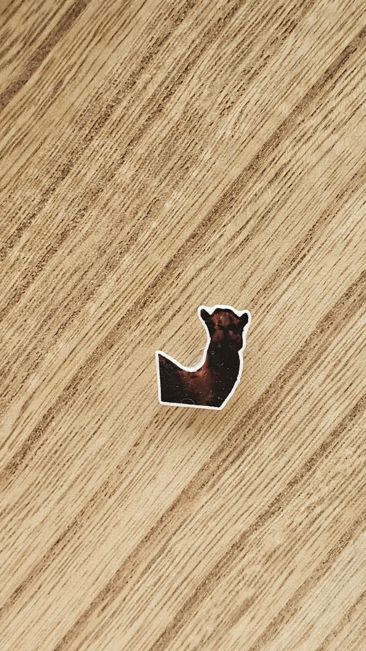 Camel Crocs Charm