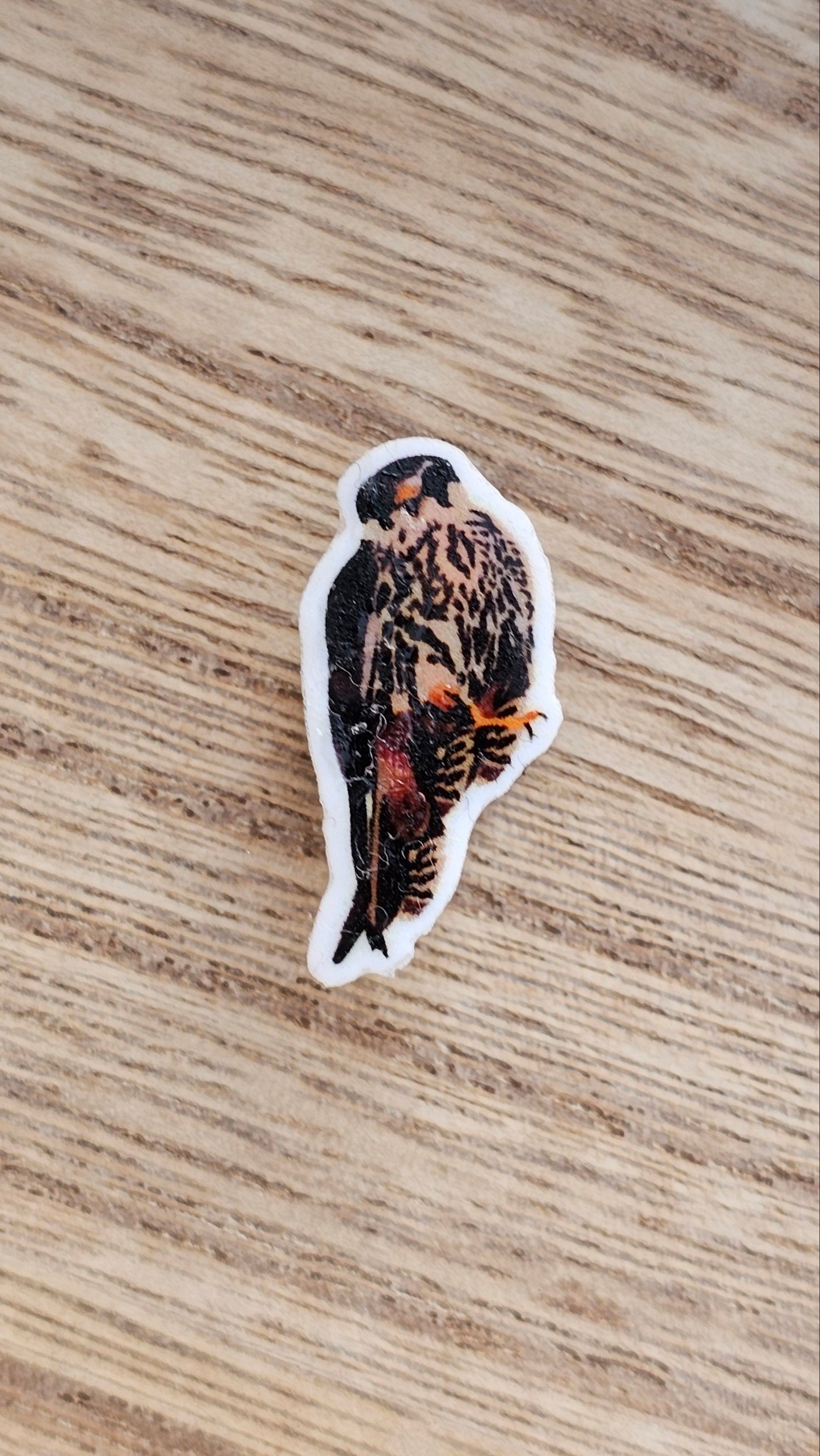 Falcon Crocs Charm