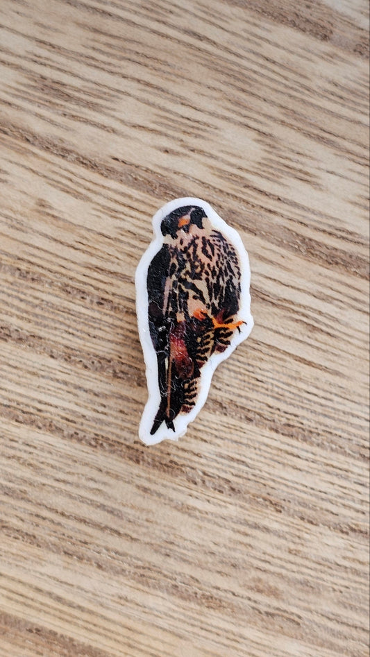 Falcon Crocs Charm