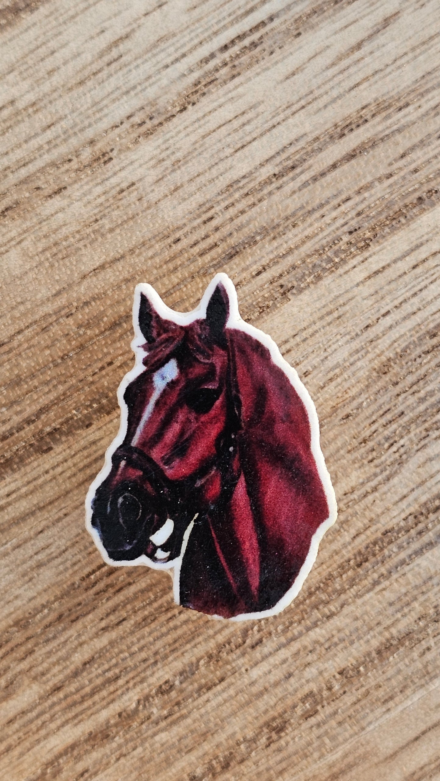 Horse Crocs Charm