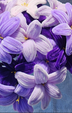 Forever Flowers Workshop