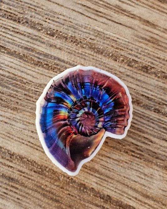 Spiral Seashell Crocs Charm