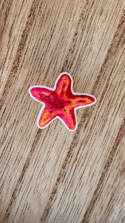 Starfish Crocs Charm