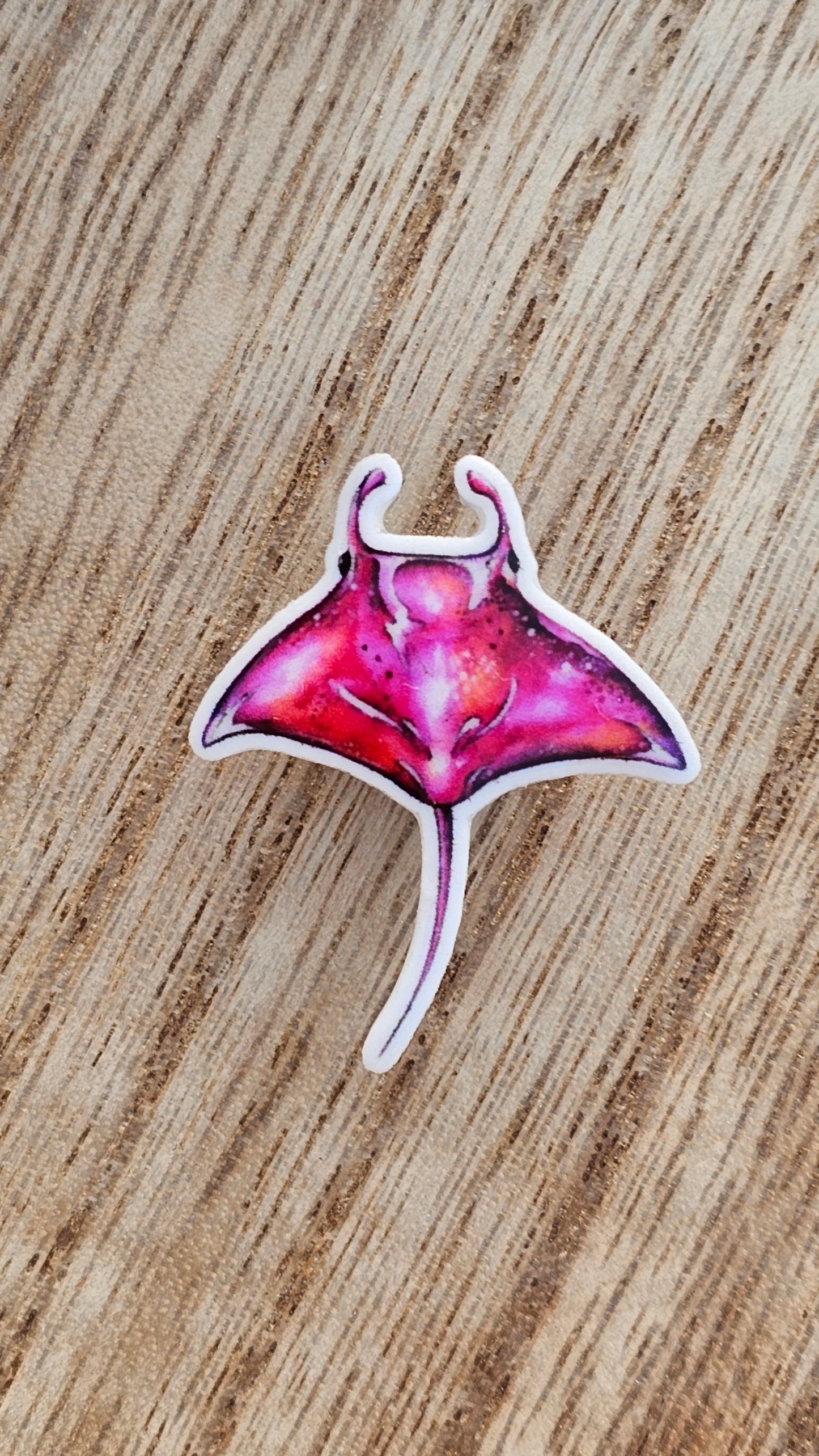 Stingray Crocs Charm