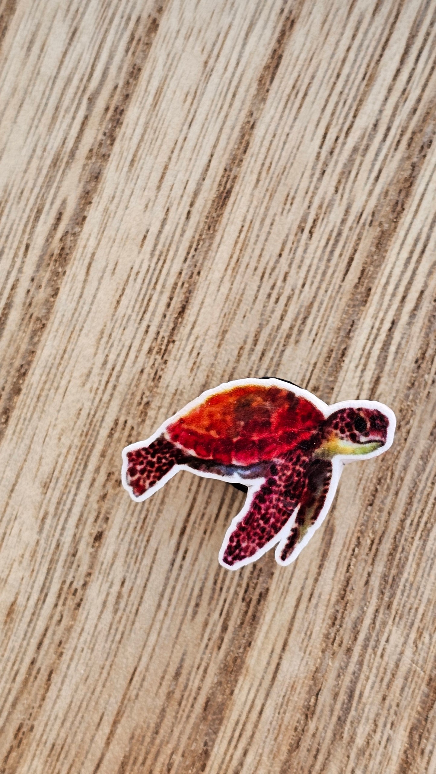 Turtle Crocs Charm