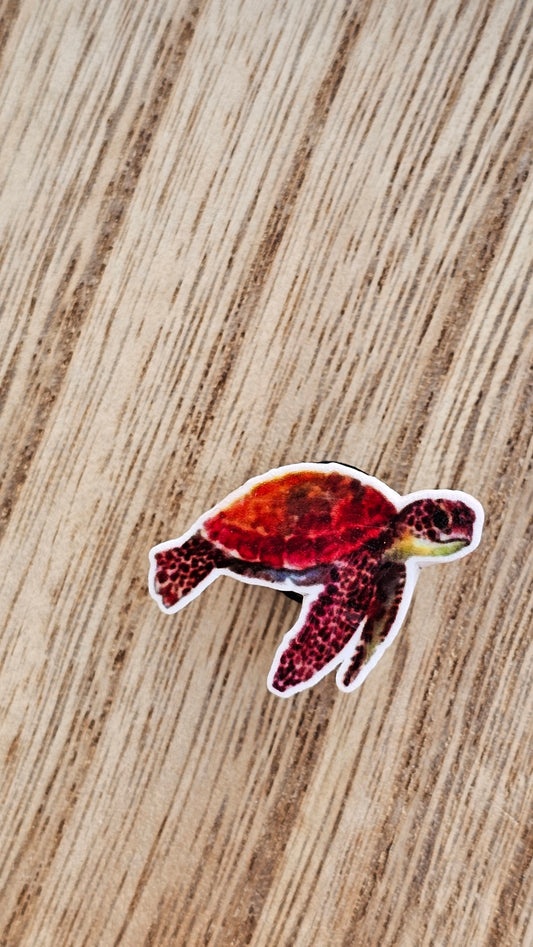 Turtle Crocs Charm