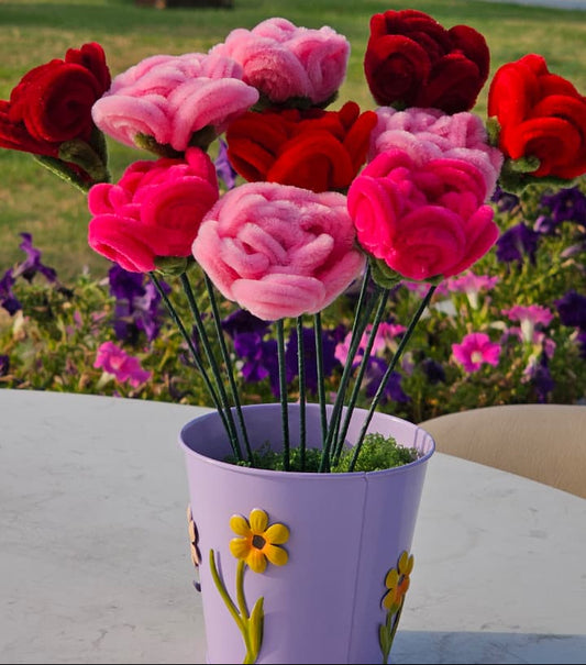 Rose Haven