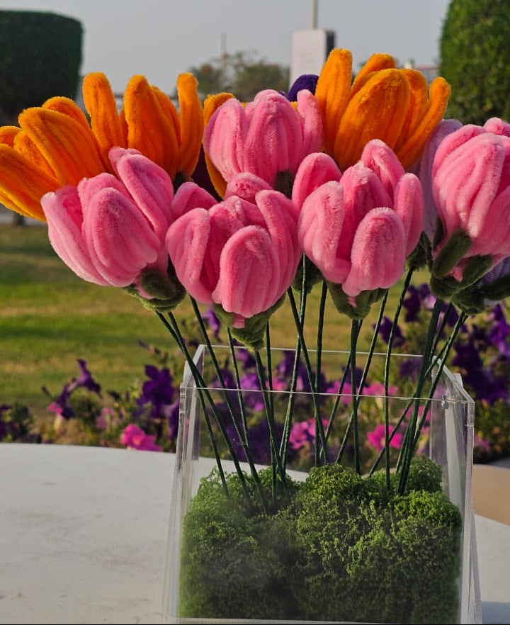 Crystal Tulip Field