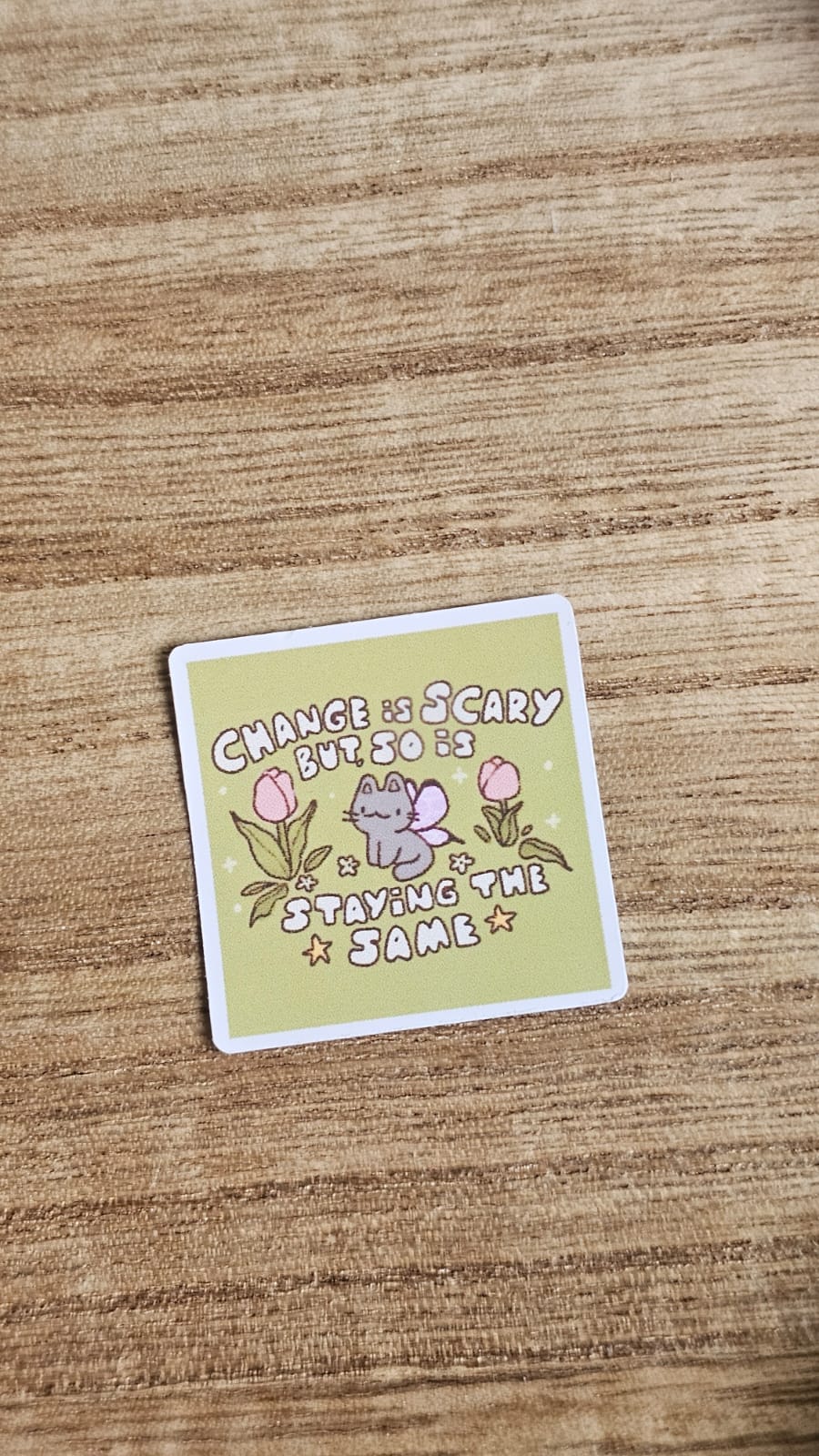 Change is Scary Sticker